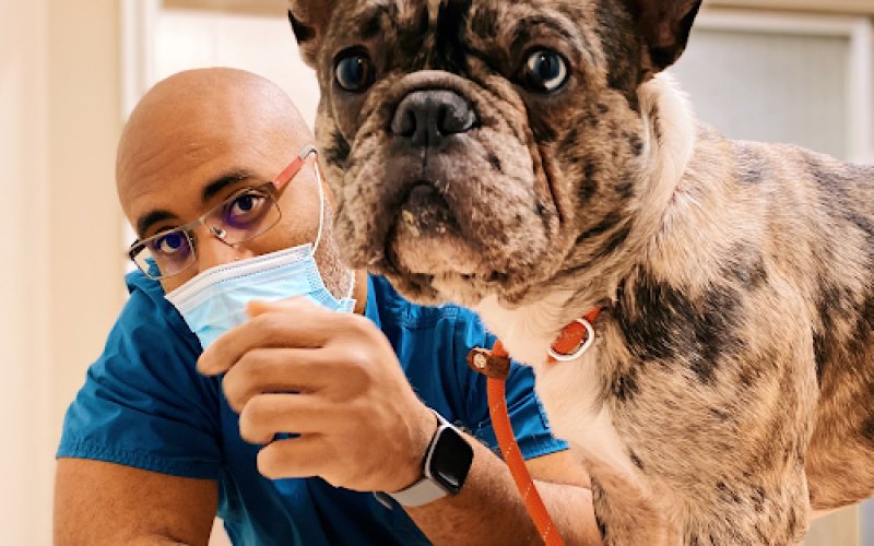 Hayward Veterinary Hospital