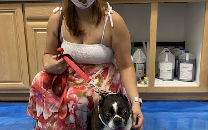 United Pet Hospital