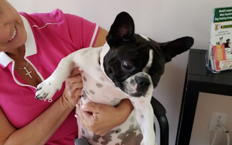 Pets & Hearts Animal Clinic