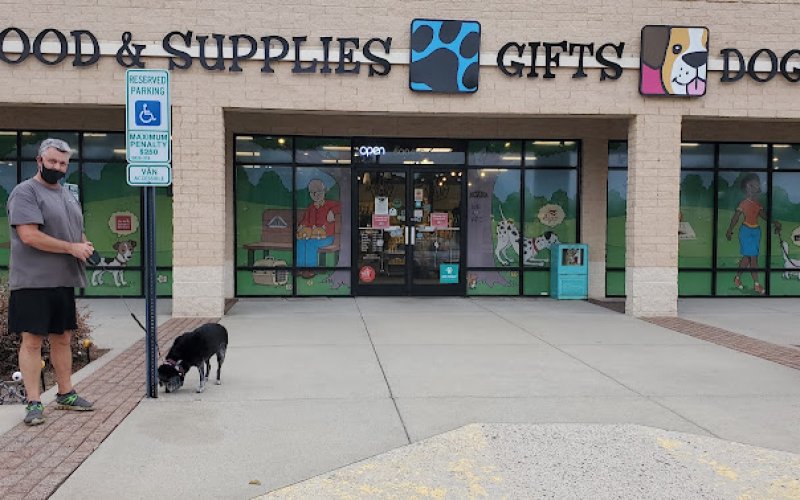 All Pets Considered