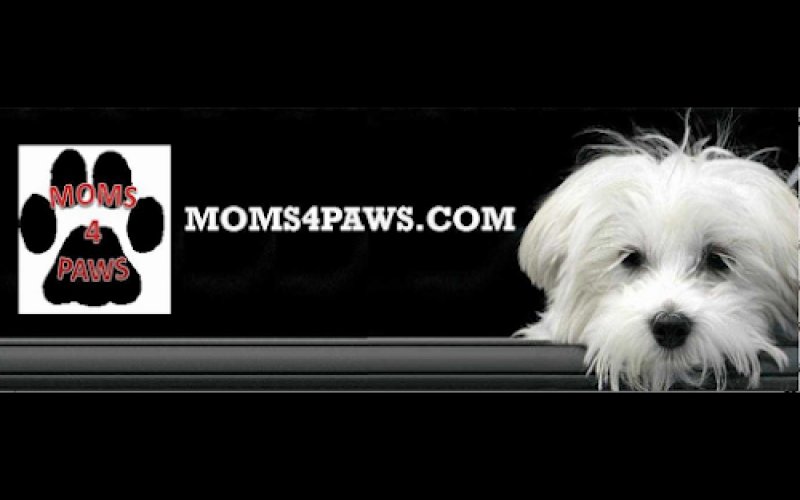 Moms4Paws