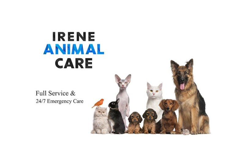 IRENE24/7 Animal Care — Pet boarding service in Hillsboro