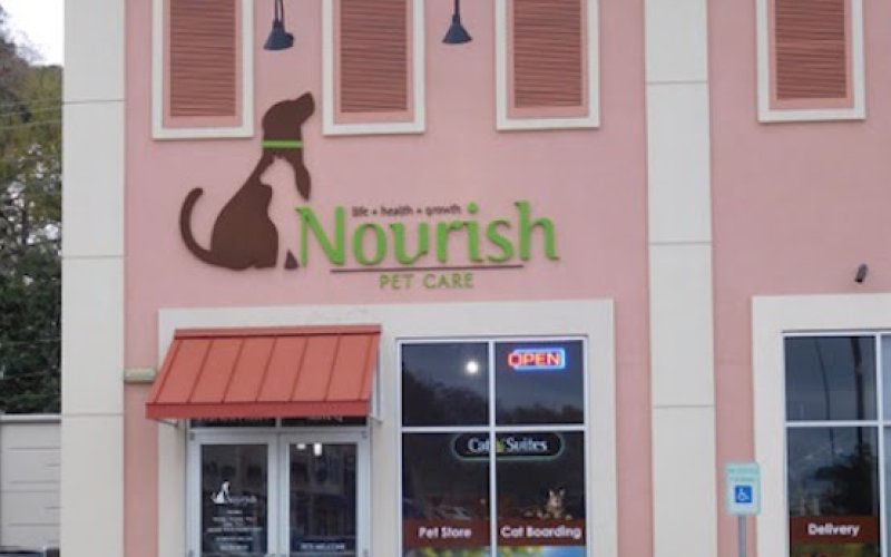 Cat Boarding by Nourish