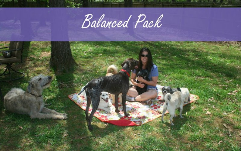 Petz Pack