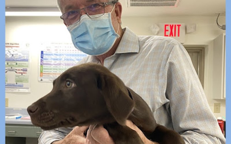 Whitesburg Animal Hospital