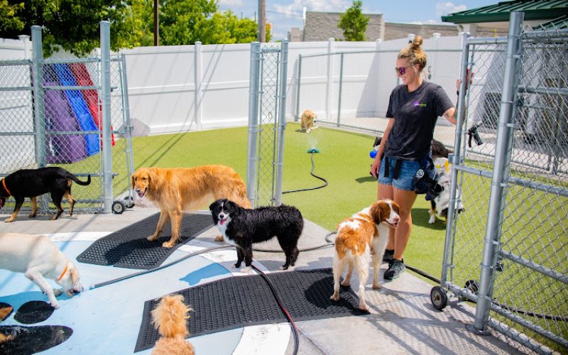 PetSuites Indianapolis Northwest