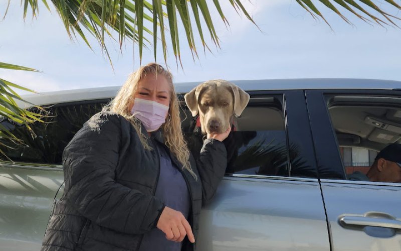 Airport Cities Animal Hospital