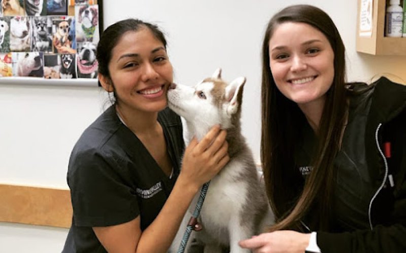 Irvine Valley Veterinary Hospital Emergency