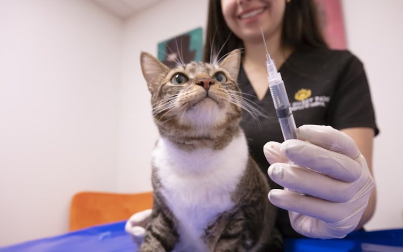Spectrum Pet Hospital