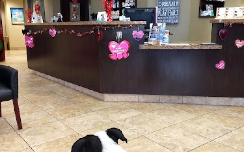 VCA Metroplex Animal Hospital & Pet Lodge