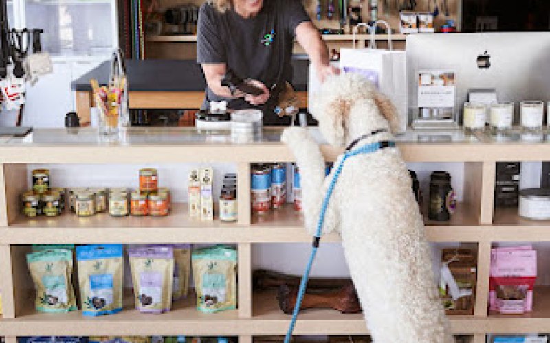 Chipper and Coco — Pet store in Jackson