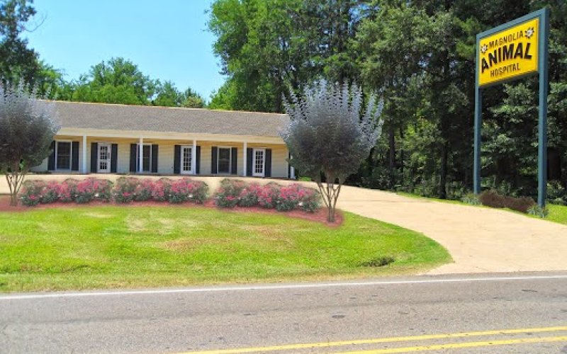 Magnolia Animal Hospital — Veterinarian in Jackson