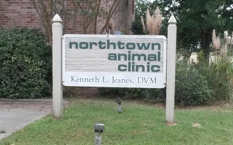 Northtown Animal Clinic — Animal hospital in Jackson