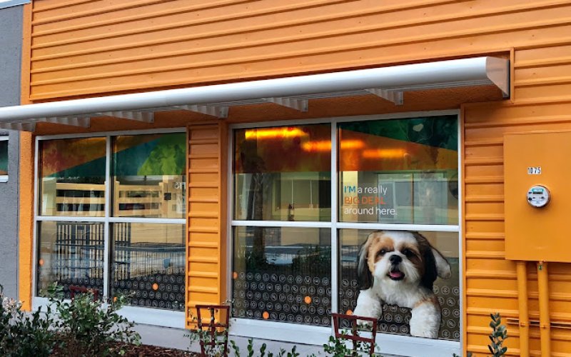 Dogtopia of Jacksonville Southbank