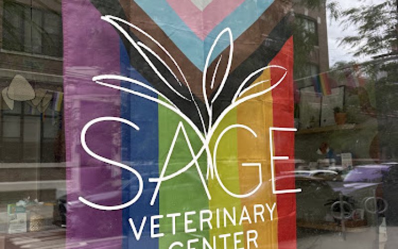 Sage Veterinary Center — Veterinarian in Jersey City