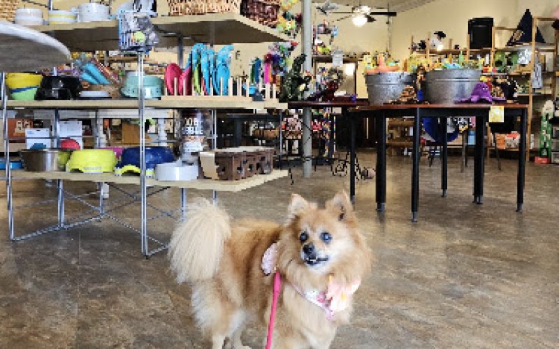 Beowoof Provisions For Pets