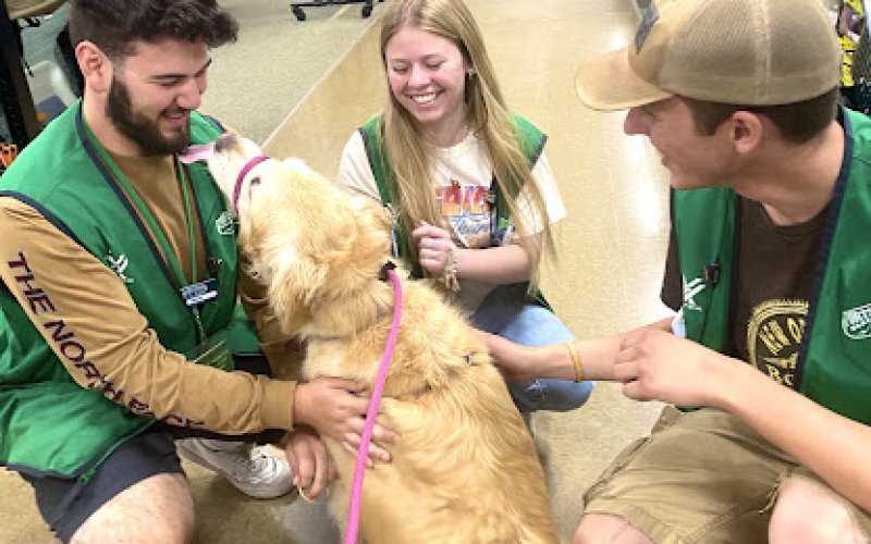 Creatures Pet Care of Kalamazoo