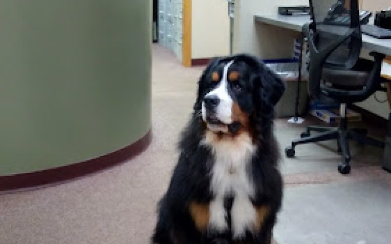 Pet Vet Family Pet Care Center