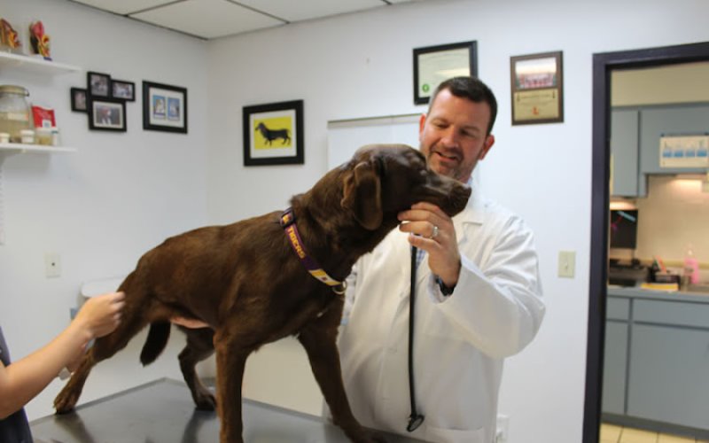 Care Animal Clinic