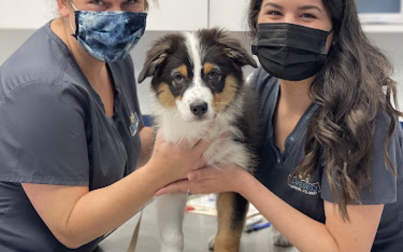 Lakeland Animal Clinic