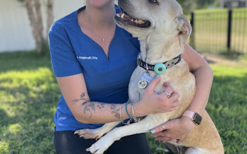 Paws Plus Veterinary
