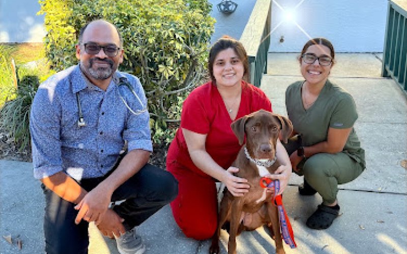 Privileged Critters Animal Hospital