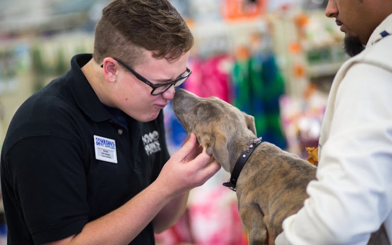 Feeders Pet Supply