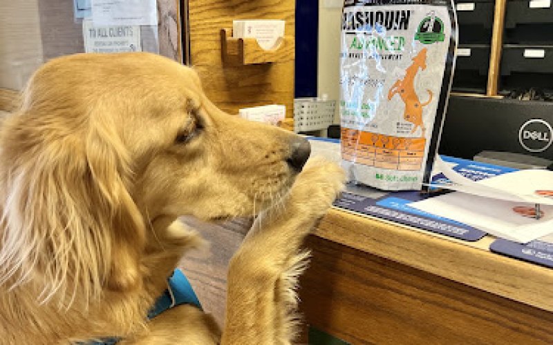 Dr. Kyle Schumacher — Veterinarian in Las Cruces