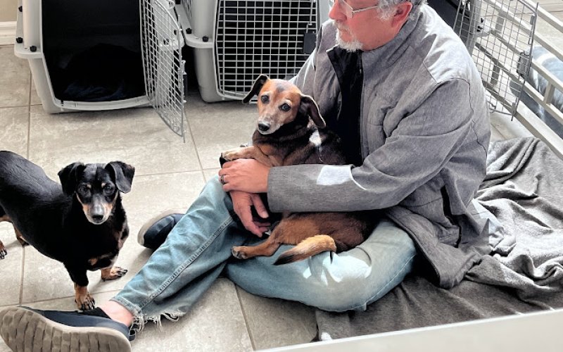 All Around Pet Care LLC