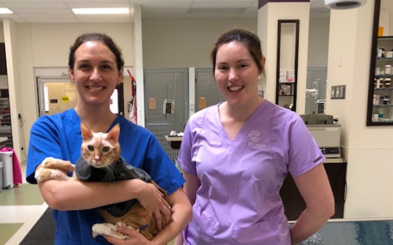 BluePearl Pet Hospital