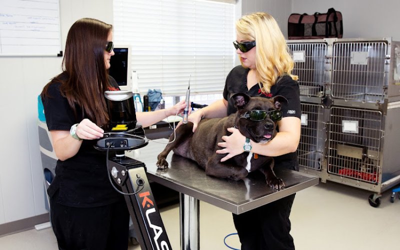 Pleasant Valley Veterinary Clinic