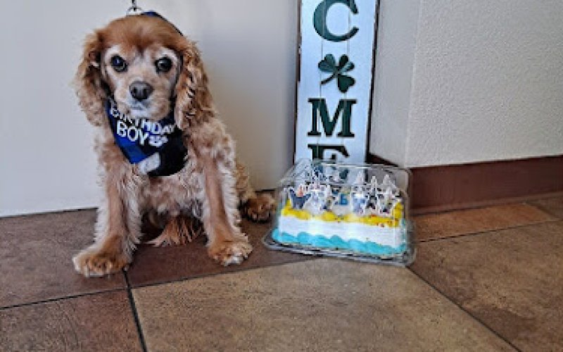 Arroyo Veterinary Center