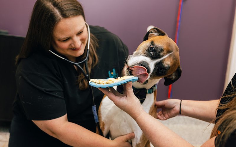 PetVet365 Pet Hospital Louisville / Jeffersontown
