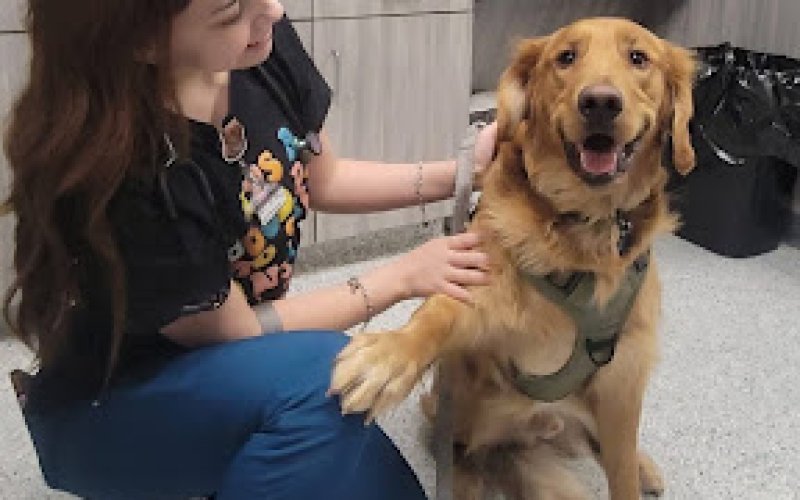 Above & Beyond Pet Care Hospital