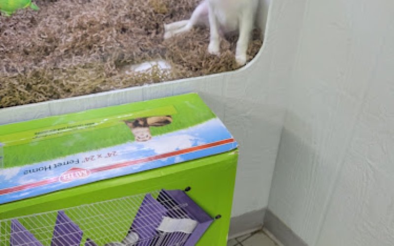 Pet & Aquatic Warehouse