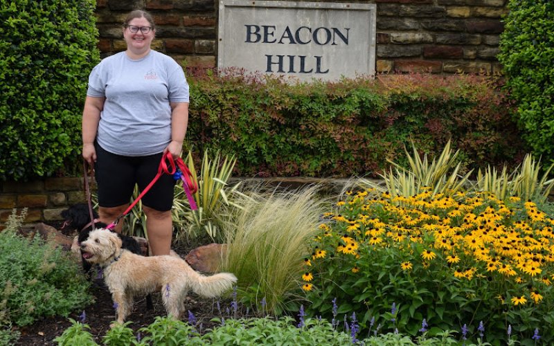 Personal Pet & Home Care — Pet sitter in McAllen