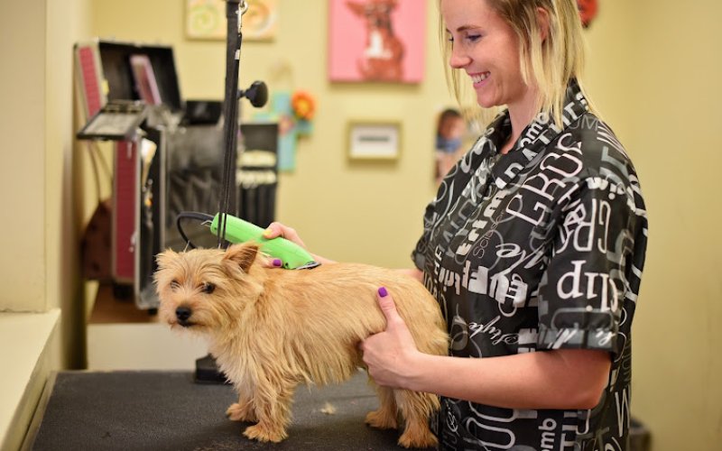 East Memphis Pet Hospital & Resort