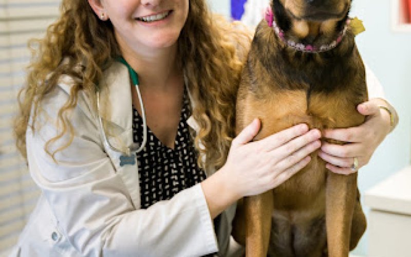Memphis Animal Clinic
