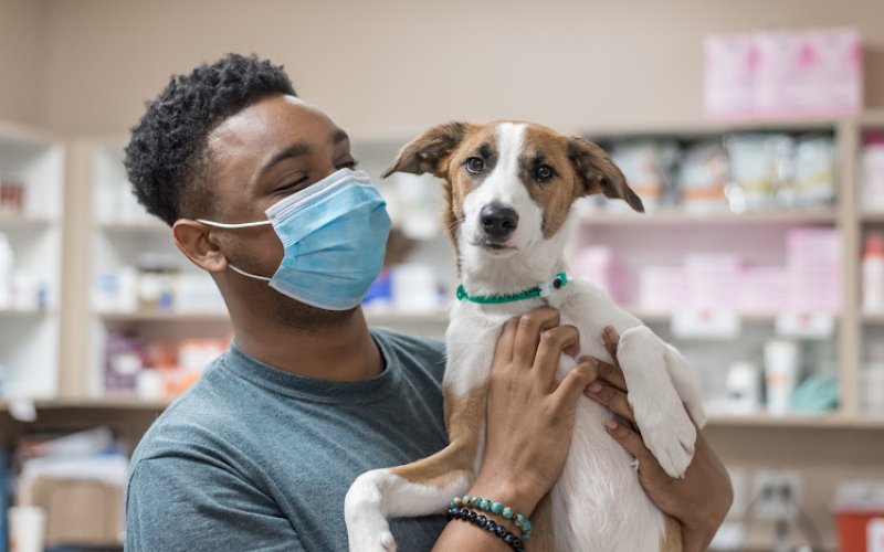 The Pet Hospitals