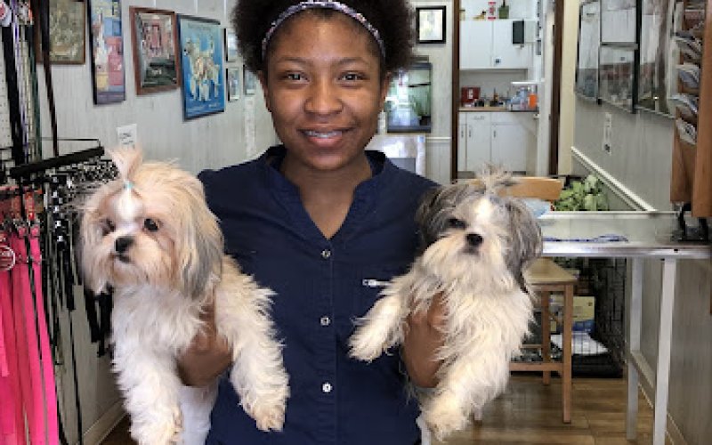 Pet Parade Animal Clinic — Veterinarian in Miami Gardens