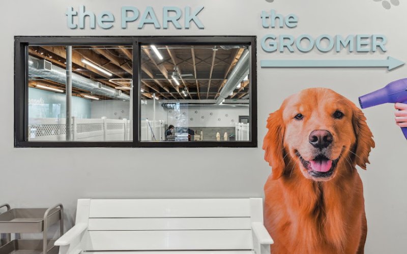 City Paws Pet Club