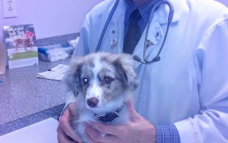 Animal Care of Mobile County