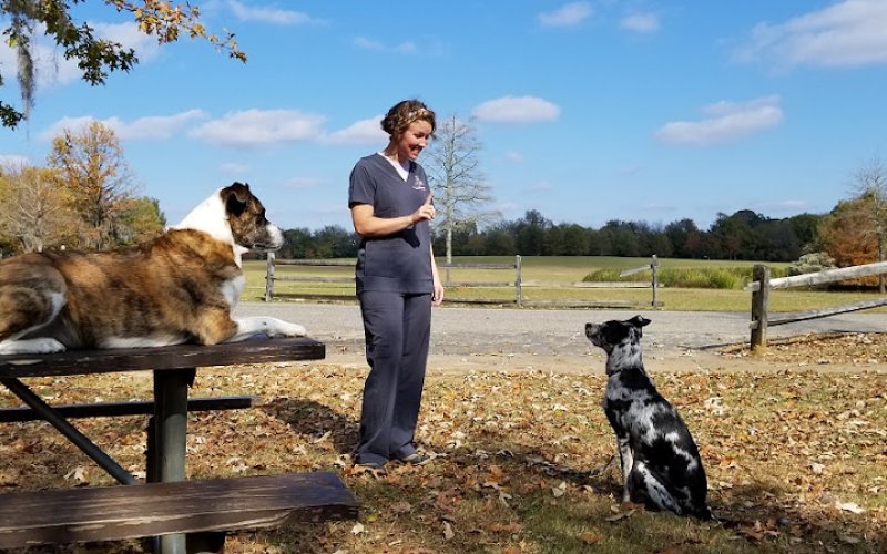 Taylor Crossing Animal Hospital