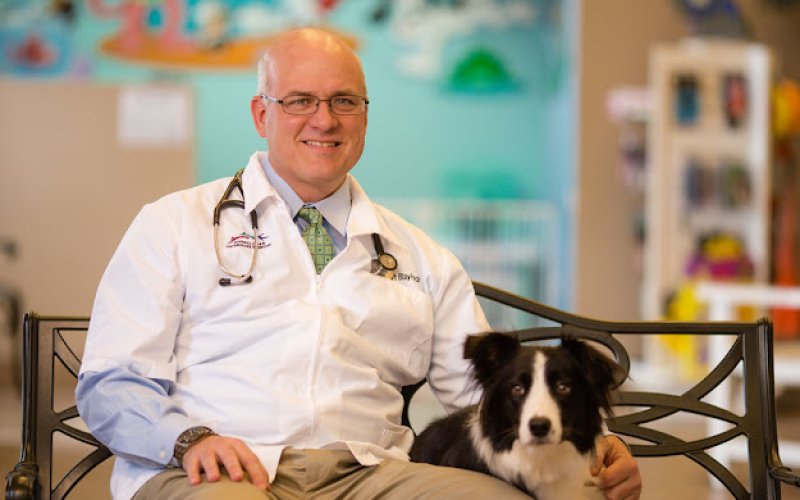 Animal Care Veterinary Hospital