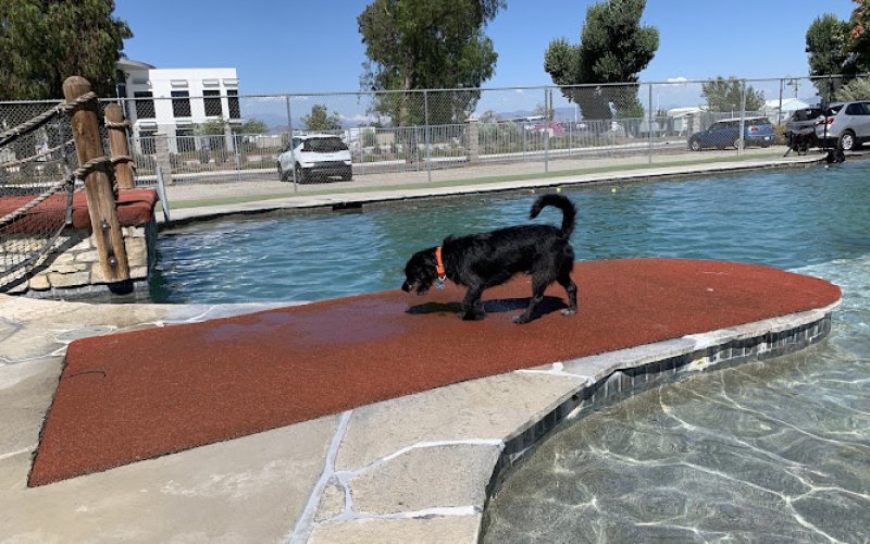 Country Kennels and Dawg Waterpark