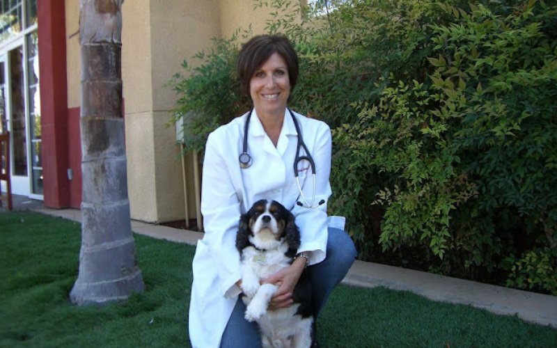 Meadowridge Animal Hospital