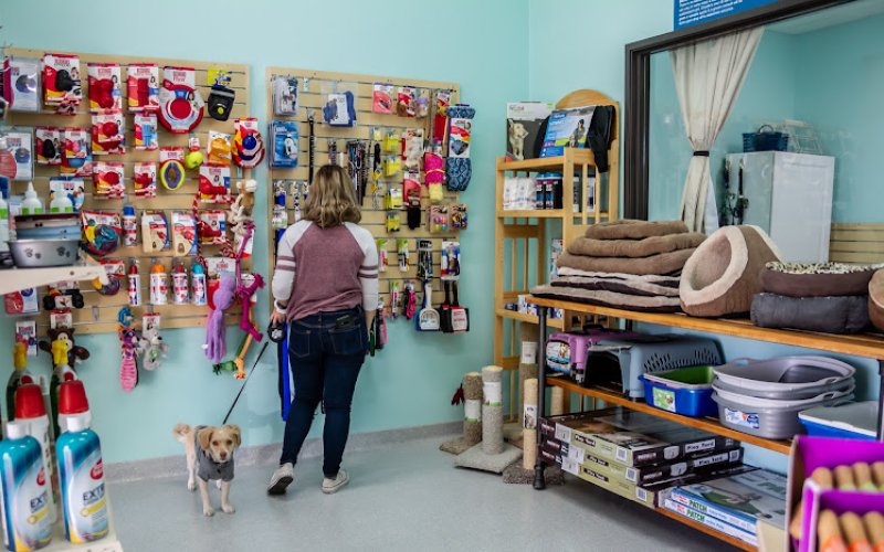 Murrieta Family Pet Hospital