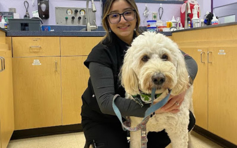 SoCal Pet Hospital