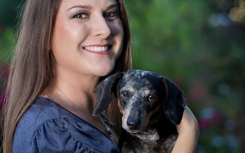 Stay and Play Pet Sitting