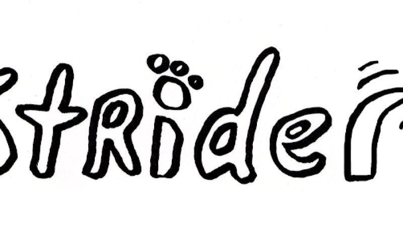 Strider Pet Care Service of East Rock, LLC